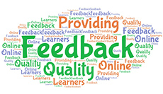 Providing Quality Feedback for Online Learners