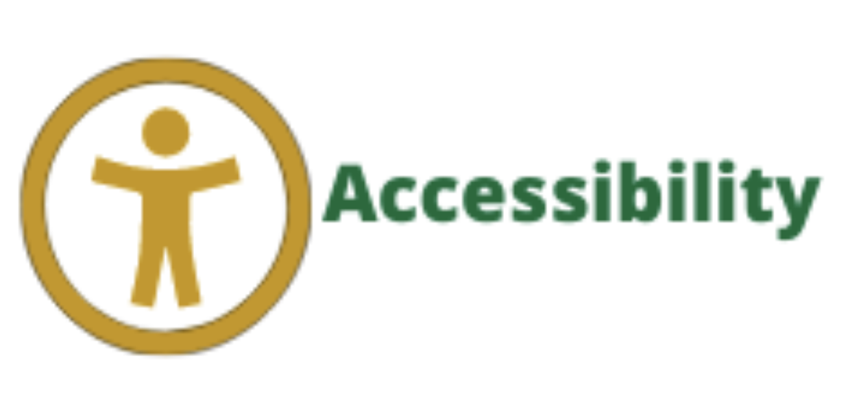 Accessibility in Canvas