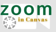 Zoom in Canvas