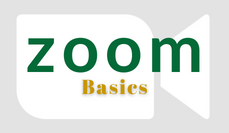 Zoom Basics