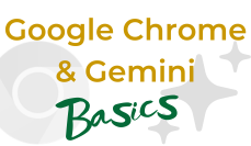 Chrome & Gemini Basics